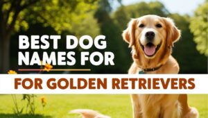 Best Dog Names for Golden Retrievers