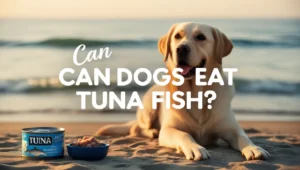 Can Dogs Eat Tuna Fish