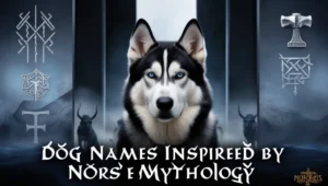 Dog Names Inspired by Norse Mythology