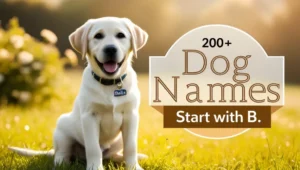 Dog Names That Start With B