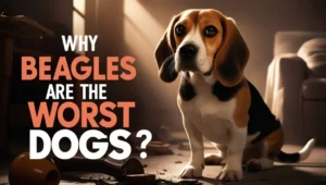 Why Beagles Are the Worst Dogs